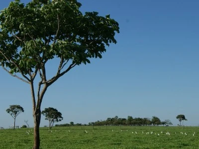 Fazenda Gratidão, em Prata/MG, propriedade adquirida por Jairo em 2005 para dar início ao seu projeto pecuário.